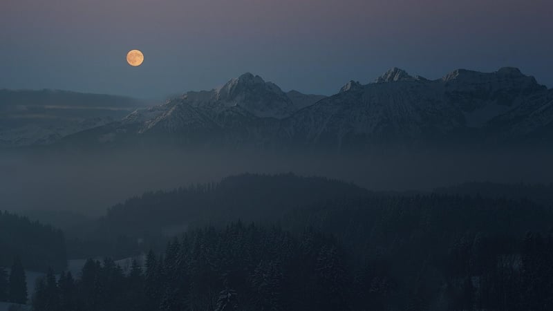 Moon Blossom