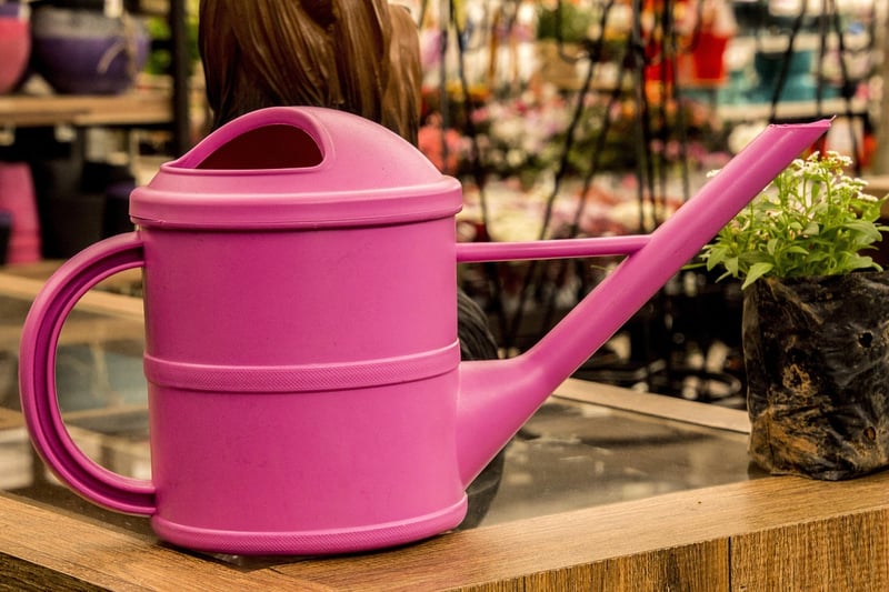 Enchanted Watering Can